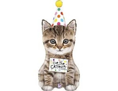 Котенок в колпаке Италия